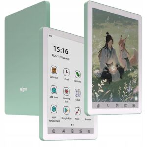 Bigme B6 6" kolorowy E Ink 64GB zielony